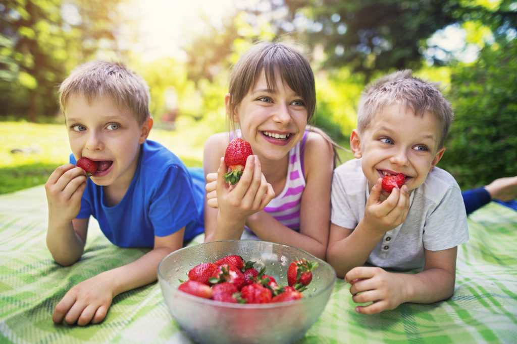 children diet plan | best idea🔥 | read brad pilon's thin from within ebook review, should you buy it will thin from within system work for you is it a scam the facts about thin. children diet plan | best idea🔥 | read brad pilon's thin from within ebook review, should you buy it will thin from within system work for you is it a scam the facts about thin.